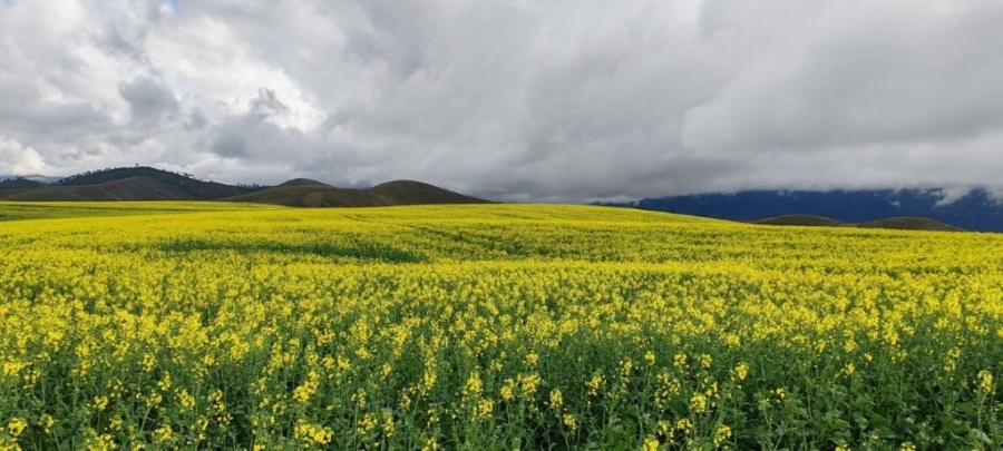 0 Bedroom Property for Sale in Caledon Rural Western Cape